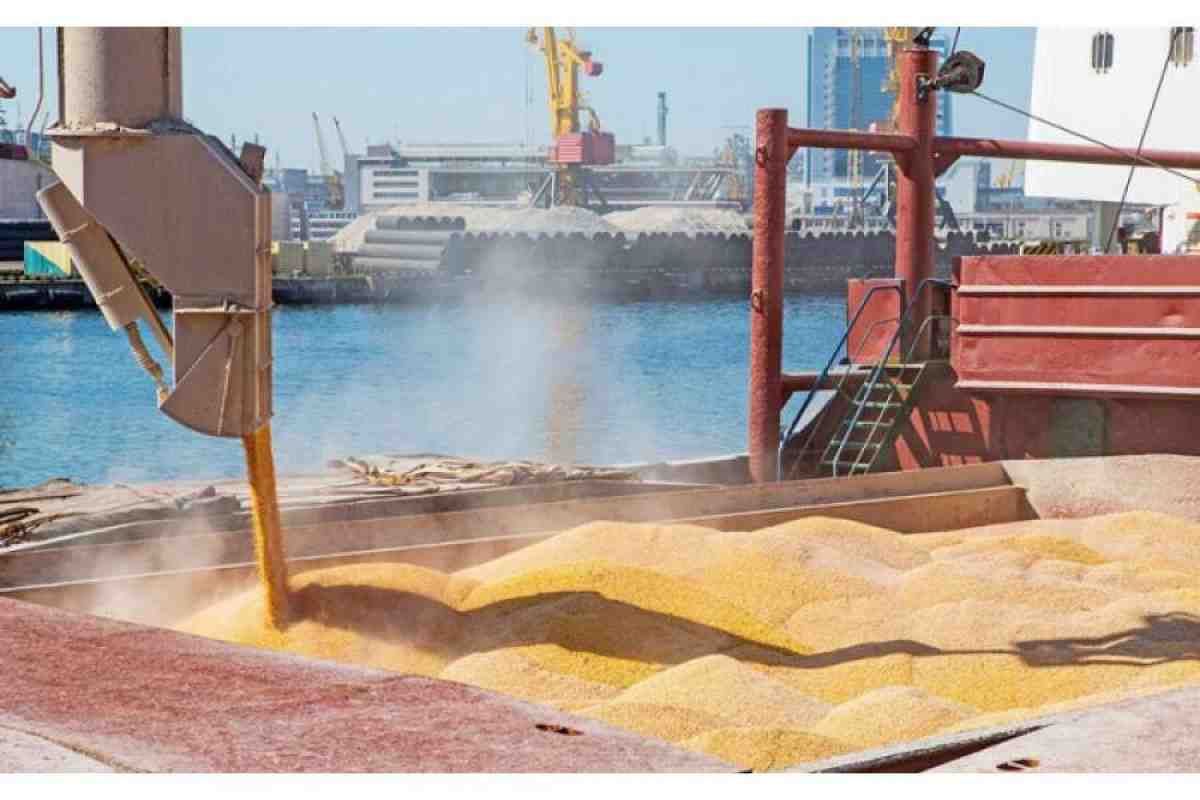 Russia sends first free grain to Africa since end of Black Sea deal