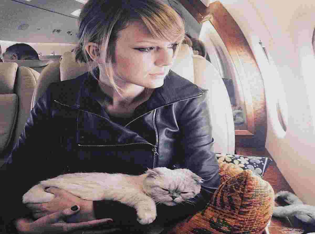 Taylor Swift sold her private jet as she faces criticism over carbon emissions