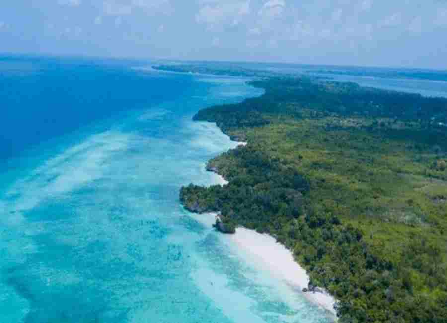 Tragic Incident on Zanzibar's Pemba Island: 9 Fatalities and 78 Hospitalizations Linked to Sea Turtle Meat Consumption