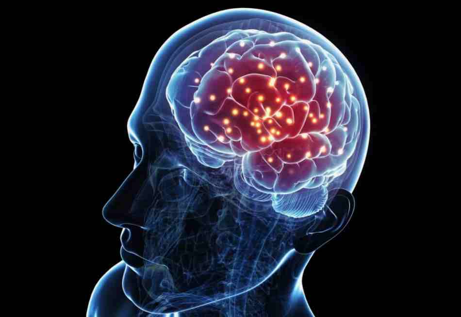 Game-Changing Bilingual AI Brain Implant Enables Stroke Survivors to Speak Both Spanish and English